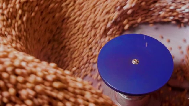 Process of mordant seeds of soybean with fungicides to protect against diseases. Slow motion. HD