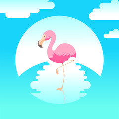 Summer vector illustration with flamingo 