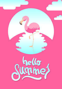 Summer vector illustration with flamingo and hand-drawing message "hello summer"