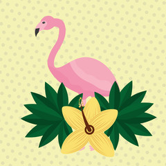 summer time tropical flamingo hibiscus flower leaves vector illustration