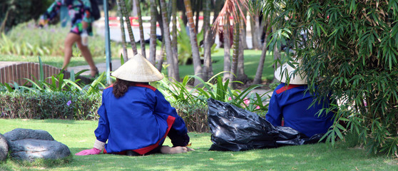 Trees in city. Vanity,vanity..(Green Vietnam)