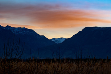 Mountain scene at sunset with birds in the sky