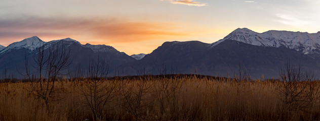 Panorama of grass in the foreground and the Rocky Mountains in the background