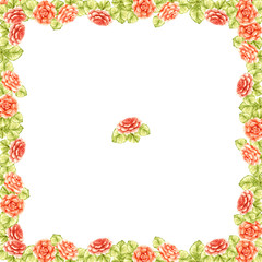 frame border of peach cute orange delicate roses with green leaves square garden beautiful light pattern isolated on white background