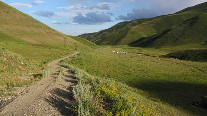 A gravel road in the green bald mountains