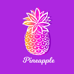 Vector Illustration. Summer pineapple. Tropical decorative fruit on purple background. Hand draw paint ananas with Pineapple