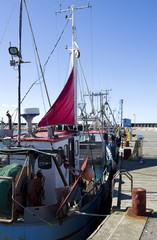 Laesoe / Denmark: Fishing cutters moored at the pier in the small fishing port of Oesterby Havn in April © Torsten Grieger