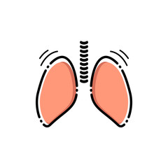 Lungs vector icon.