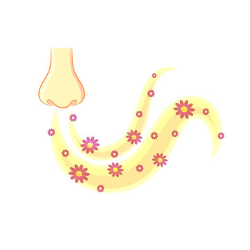 Nose And Smell Sense Flat Vector On White Background.