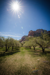 slide rock apple trees