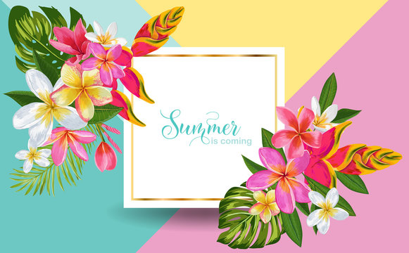 Hello Summer Floral Poster. Tropical Exotic Flowers Design for Sale Banner, Flyer, Brochure, Certificate, Fabric Print. Summertime Watercolor Background. Vector illustration