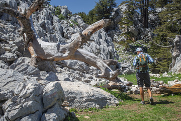 Hiker on lician way