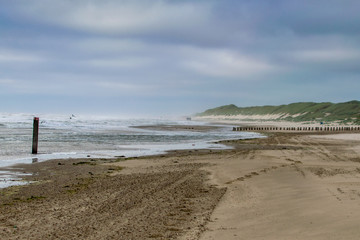 strong wind at the beach