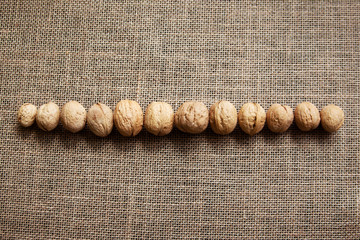Walnuts. Burlap background.