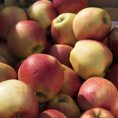 Coxes apple in wooden box on market for sale
