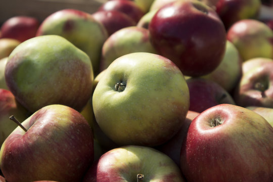 Coxes apple in wooden box on market for sale