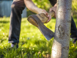 close up shot of the axe in the hand of man working in the garden