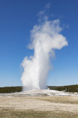 Old Faithful Geyser at Yellowstone National Park
