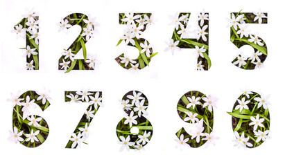 Numbers from 0 to 9 of white flowers in a paper stencil