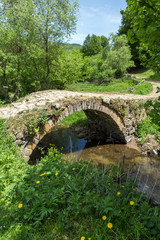 Fototapeta na wymiar Stone bridge over Fotinovo River near village of Fotinovo in Rhodopes Mountain, Pazardzhik region, Bulgaria