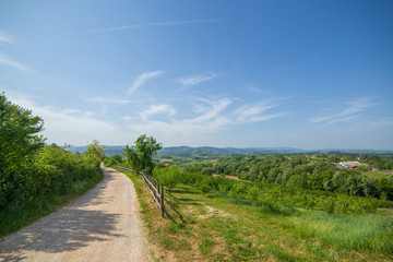 Rural road passing a village surrounded with forest, sunny day scene