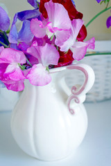 Sweet pea flowers in a vase, beautiful still life