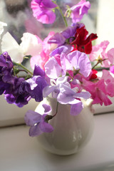 Sweet pea flowers in a vase, beautiful still life
