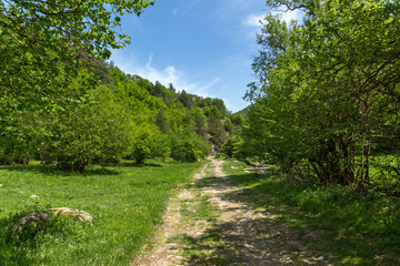 Fototapeta na wymiar Spring landscape of Green Hills near village of Fotinovo in Rhodopes Mountain, Pazardzhik region, Bulgaria