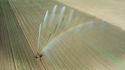 Irrigation equipment watering field. Aerial view. Irrigation of a young plants.