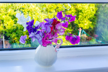 Sweet pea flowers in a vase on the window sill with delicate white curtain, beautiful still life