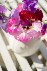 Sweet pea flowers in a white vase on a white metal, garden table in the garden on a sunny day.