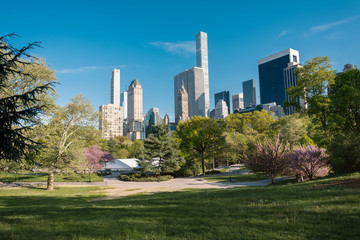 Obraz premium Manhattan Central Park New York City 