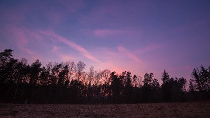 Evening after sunset sky over forest