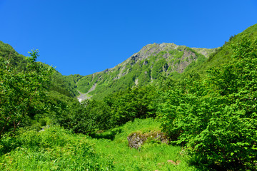 南アルプス　大樺沢から望む北岳