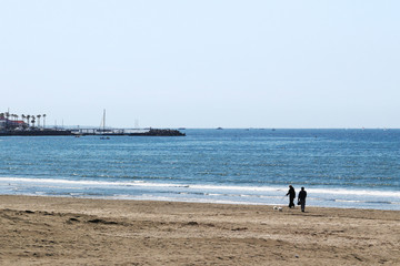 Fototapeta na wymiar 海岸を犬と散歩する夫婦