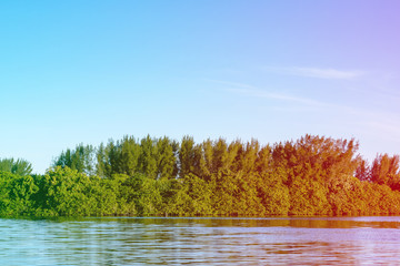 Fototapeta premium Mangrove trees and other vegetation growing on the edge of Marapendi Lagoon, in Barra da Tijuca, Rio de Janeiro. Colored light leak filter applied