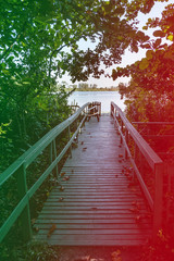 Obraz premium Pathway to small wooden dock in lake, covered in vegetation. Lake can be seen in the background. Marapendi Lagoon, Rio de Janeiro. Colored light leak filter applied