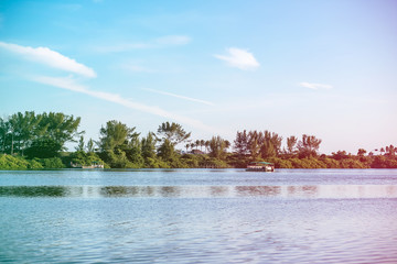 Mangrove trees and other vegetation growing on the edge of Marapendi Lagoon, in Barra da Tijuca,...