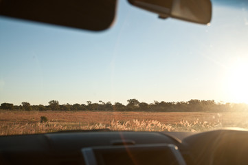 Fototapeta premium Sunny savanna golden field outback from car window