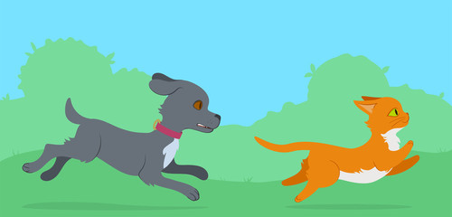 Dog chasing a cat