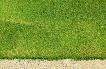 Green grass texture background of golf course with concrete area.