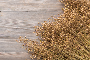 plant dry flax on wooden boards, a bunch of flax, a lot of dry plants