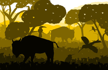  low poly asian nature vector,cow on the grass field with hornbill and bird,silhouette style,panorama view