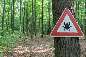 tick insect warning sign in forest - obrazy, fototapety, plakaty