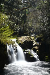 Fototapeta premium 旅先で出会った小さな滝