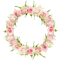 Beautiful white rose flowers in round frame