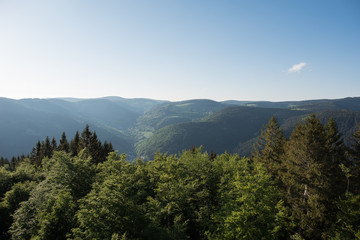 landscape black forest germany, view from Hasenhorn lookout tower near Todtnau, perfect weather.