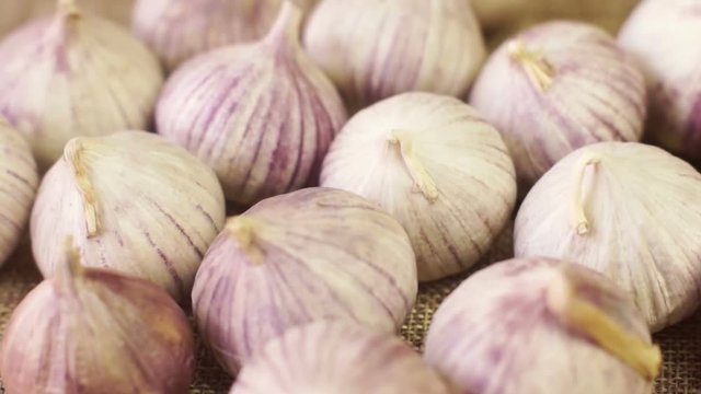 Fresh garlic is on a linen cloth on a table, tilt