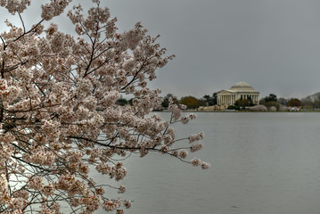 Jefferson Memorial - Washington, DC