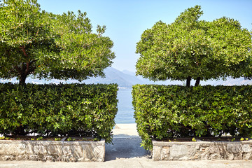 a gap between green bushes and trees overlooking the sea, mountains and blue sky